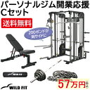 【ポイント10倍★4月1日限り】[WILD FIT Premium] パーソナルジム開業応援Cセット送料無料 パーソナルジム 自宅 トレーニングマシン 筋トレ フィットネス オールインワン ジム 開業 スミスマシン その1