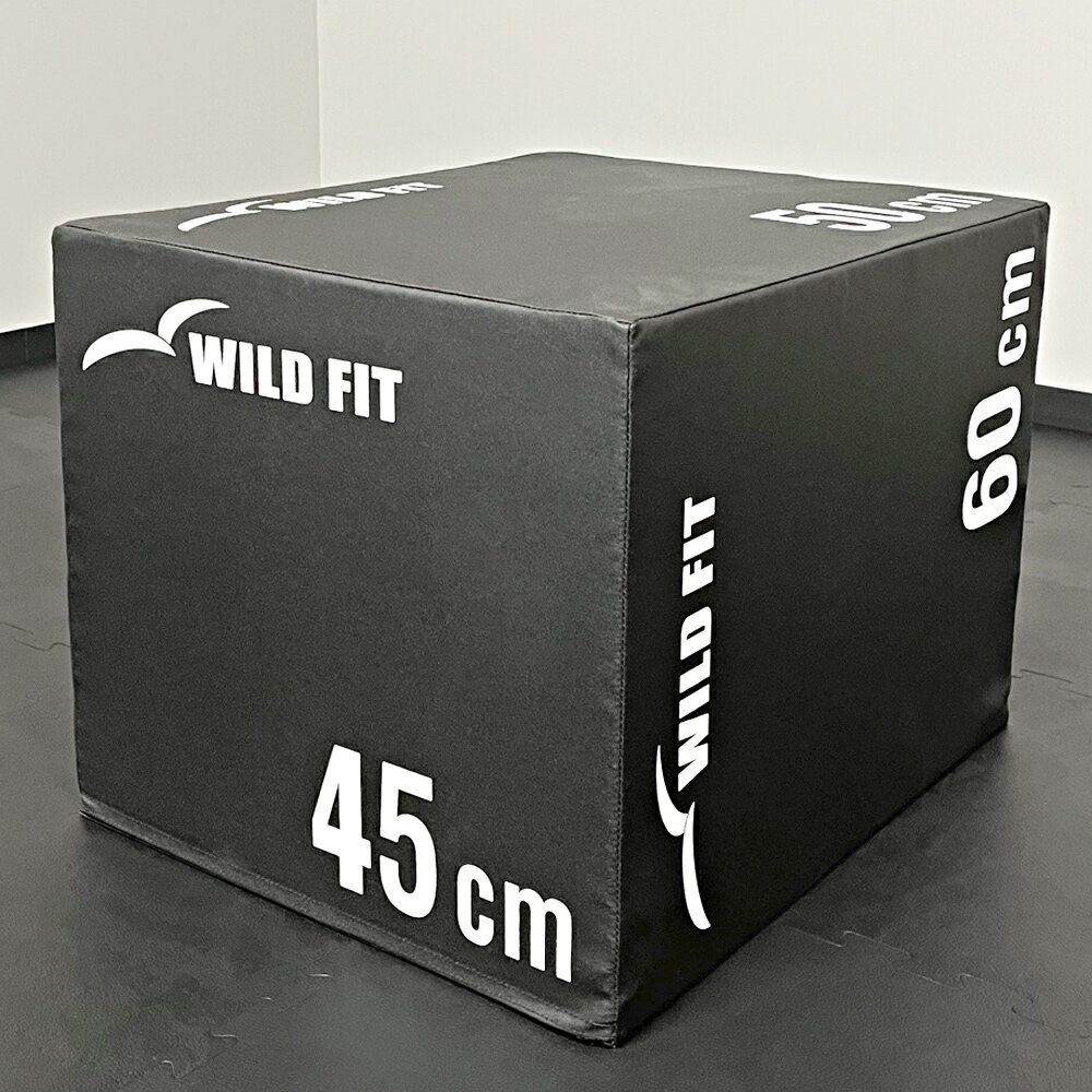 ソフトプライオボックス レギュラー送料無料 ジャンプボックス 瞬発力 トレーニング 体幹 ジャンプ 昇降台 [WILD FIT Premium] 2