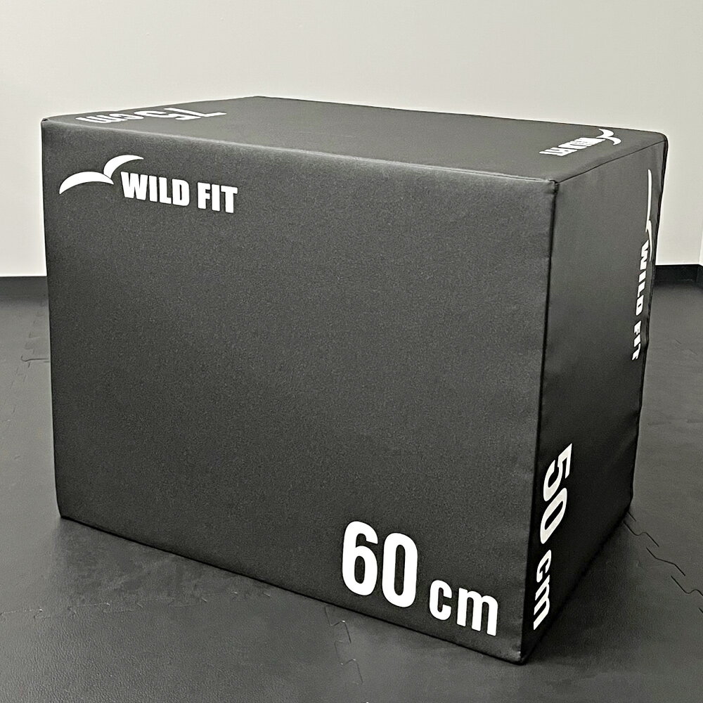 ソフトプライオボックス ラージ送料無料 ジャンプボックス 瞬発力 トレーニング 体幹 ジャンプ 昇降台 [WILD FIT Premium] 3