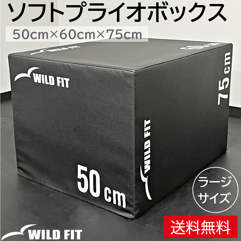 ソフトプライオボックス ラージ送料無料 ジャンプボックス 瞬発力 トレーニング 体幹 ジャンプ 昇降台 [WILD FIT Premium] 1