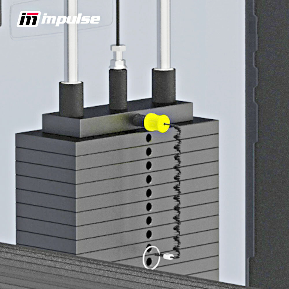 [WILD FIT Premium] バックキック (200ポンド) 《impulse/インパルス》ヒップアップ 送料無料 トレーニングマシン トレーニング お尻 太もも ベンチ 自宅 業務用 ワイルドフィット