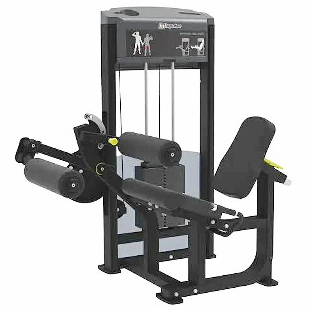 [WILD FIT Premium] レッグエクステンション/レッグカール(200ポンド) 《impulse/インパルス》大腿四頭筋 送料無料 トレーニングマシン トレーニング ハムストリングス ベンチ 自宅 業務用 ワイルドフィット