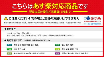 スリッパ用収納携帯袋|おしゃれ 室内 室内履き オフィス 学校 飛行機 携帯 授業参観 入学式 入園式 卒業式 卒園式 来客用 美脚 フォーマル ルームシューズ かわいい レディース ブラック 人気 旅行 行事 リボン暖かい 前閉じ 運動会 体育館 文化祭 発表会 お遊戯会 お受験 +