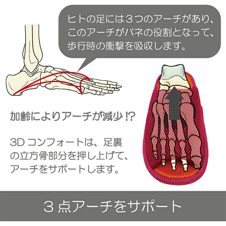 ����å� �롼�ॷ�塼�� ������ 3D����ե����ȥ���åѥ���å������M��L��LL������ 3D����ե����ȥإ륷�� ������� �ꥫ�Х꡼ �롼�ॷ�塼�� ������� ���� �ҡ��� ����� �����