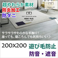 NEXTHOMEネクストホームARSKYRUG/アルスキーラグ