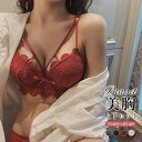 【5/4!クーポンで1,980円】 ブラショーツセット レース ダブルストラップ ブラジャー ショーツ セット セクシー ランジェリー インナー 下着 レディー...