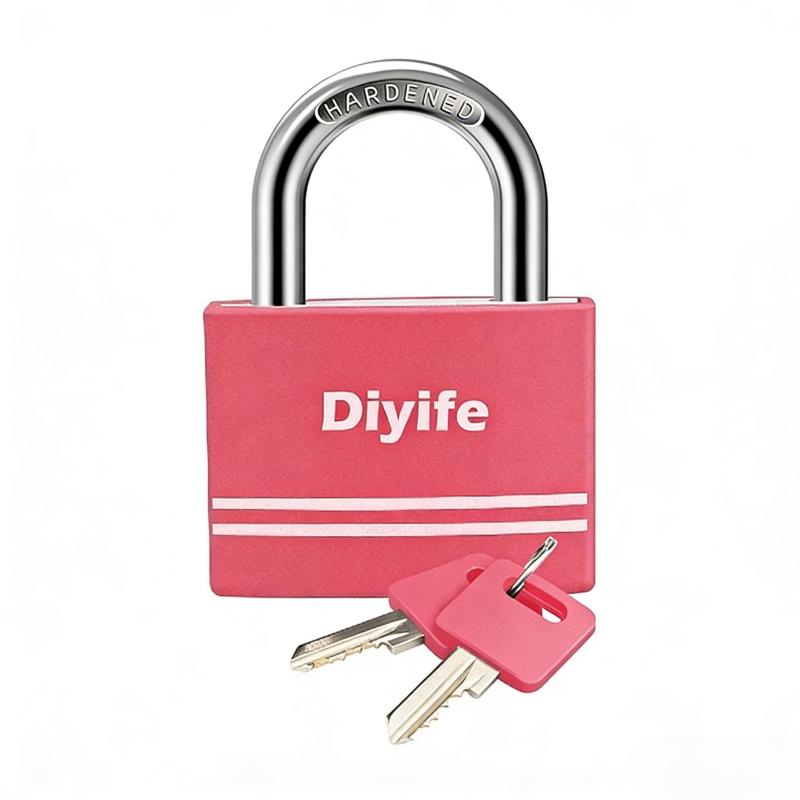 Diyife 南京錠 セキュリティロック 南京錠 小型 鍵付き 携帯型 盗難防止 安全性 防水 耐久性 耐食性 貴重品入れ 学校 ロッカー 企業 倉庫 屋外