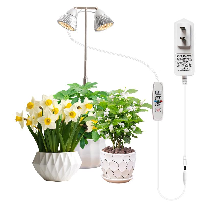 SINJIAlightと含め５個セット。 61YISS2KV6L._AC_UF1000,
