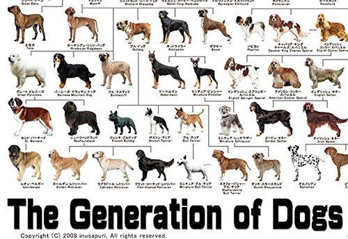 犬の系統図 A1サイズ The generation of dogs slope-up-10012509 SLOPEUP サンプル画像2