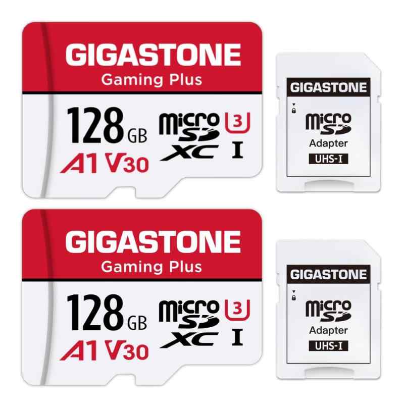 GIGASTONE マイクロsdカード 1TB-2-1 Core Group