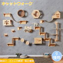 キャットウォーク 有孔ボード 壁掛け式猫用ステップ 壁面 棚 DIY 壁 天然木 壁掛け猫クライマーセット 猫用 キャットタワー 猫家具 キャットステップ 猫棚 猫ハウス 木製 多孔ボード 爪とぎポール キャットウォーク 壁付け 遊び場 ストレス解消 取り付け簡単 便利 pet-68