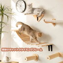 キャットウォーク 有孔ボード 壁掛け式猫用ステップ 壁面 棚 DIY 壁 天然木 壁掛け猫クライマーセット 猫用 キャットタワー 猫家具 キャットステップ 猫棚 猫ハウス 木製 多孔ボード 爪とぎポール キャットウォーク 壁付け 遊び場 ストレス解消 取り付け簡単 便利 pet-140