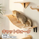 キャットウォーク 有孔ボード 壁掛け式猫用ステップ 壁面 棚 DIY 壁 天然木 壁掛け猫クライマーセット 猫用 キャットタワー 猫家具 キャットステップ 猫棚 猫ハウス 木製 多孔ボード 爪とぎポール キャットウォーク 壁付け 遊び場 ストレス解消 取り付け簡単 便利 pet-140