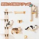 キャットウォーク 有孔ボード 壁掛け式猫用ステップ 壁面 棚 DIY 壁 天然木 壁掛け猫クライマーセット 猫用 キャットタワー 猫家具 キャットステップ 猫棚 猫ハウス 木製 多孔ボード 爪とぎポール キャットウォーク 壁付け 遊び場 ストレス解消 取り付け簡単 便利 pet-140