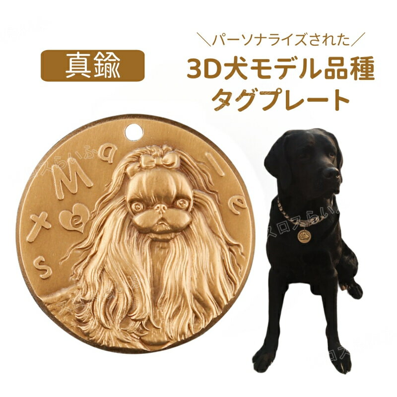 3D犬モデル品種タグプレート メタル タグ アクセサリー 真鍮 犬 ドッグ 犬タグ 犬用品 キーホルダー 選べる18柄 ToyDog ヨークシャー チワワ ポメラニアン プードル パピヨン ディアドッグ シーズー ペキニーズ 送料無料 pet-lb21