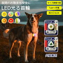 【スーパーSALE】光る首輪 ペット首輪 防水 サイズ調節可能 Type-cケーブル IPX5防水 6色切り替え可能 サイズ調整 LEDライト 散歩用ライト シ...