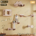 キャットウォーク 有孔ボード 壁掛け式猫用ステップ 壁面 棚 DIY 壁 天然木 壁掛け猫クライマーセット 猫用 キャットタワー 猫家具 キャットステップ 猫棚 猫ハウス 木製 多孔ボード 爪とぎポール キャットウォーク 壁付け 遊び場 ストレス解消 取り付け簡単 便利 pet-238