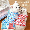 ペット用品 丸襟 犬 服 おしゃれ 可愛いフォーマル 犬洋服 人気 お散歩 お出かけ服 小型犬 裏起毛 ドッグウェア 春 秋 定番 おしゃれ 可愛い お洋服 ペット服 かわいい 小型犬 猫服 カジュアル ふわふわ 室内 防風 保温 人気 お揃い 洗える 暖かい 安心【送料無料】