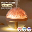 加湿器 USBカーミニ加湿器 うさぎ加湿器 常夜灯 乾燥対策 永遠の花 内蔵バッテリー ワイヤレスポータブル オフィス利用 誕生日プレゼント 静音 省エネ 節電...