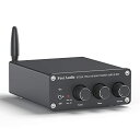 Fosi Audio BT20A Bluetooth 5.0 p[Av 2.0CH XeI I[fBIAv 100W*2 TPA3116 V[o[ 2`l ~j Hi-Fi NXD ቹƍg ƒXs[J[p(dt)