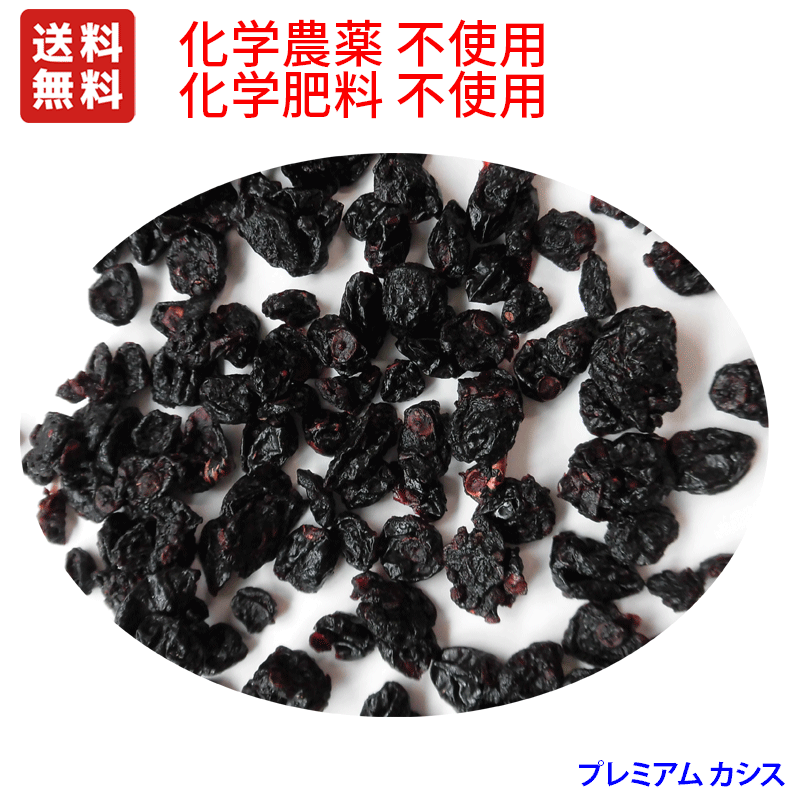 楽天無農薬栽培食品　スローフーズメール便送料無料 （代引き決済不可・日時指定不可）プレミアム カシス　480g　（ ソフト ドライ ）　ニュージーランド産 BIOGRO認定品　最高品質　化学合成農薬/化学肥料不使用栽培　日本国内での小分け商品です。カシスポリフェノール含有　ノンカフェイン