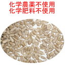 無添加・無塩　オーストリア産　生サンフラワーシード(ひまわりの種)　1kg×3 　チャック付　無農薬(化学農薬不使用)栽培