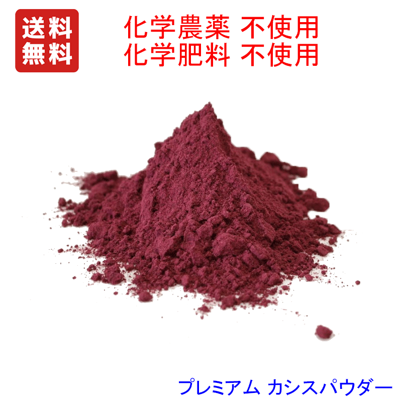 TV話題(カズレーザーと学ぶ) プレミアム カシスパウダー 300g 　化学合成農薬/化学肥料不使用栽培　送料無料メール便ブルーベリー より多くのカシス アントシアニンを含んでいます。VIBERI社のカシス粉末を国内小分け加工品　ノンカフェインのサムネイル