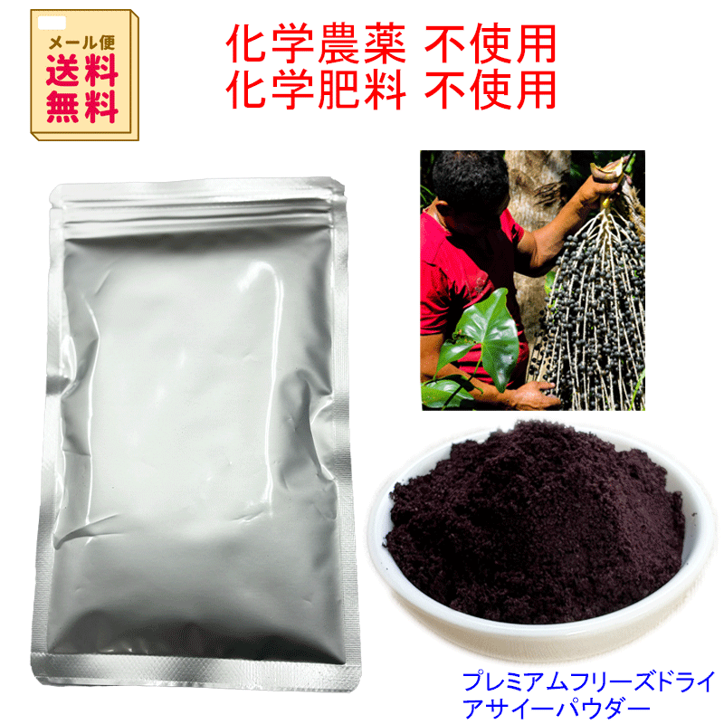Other - //楽天お買い物マラソン20％オフ//プレミアム アサイー フリーズドライ パウダー 100g 化学合成農薬/化学肥料不使用栽培　ブラジル産