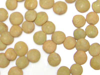 ●レンズ豆　500g　賞味期限2025.10.07(化学合成農薬.化学肥料)不使栽培　認定品　メール便のご利用はできません