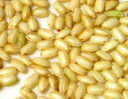 ●無農薬栽培　有機JAS　もち玄米　1kg×20　送料無料商品取り寄せのため、在庫確認後ご連絡いたします。長期欠品の際はキャンセルさせていただく場合がございます。モチ玄米　餅玄米
