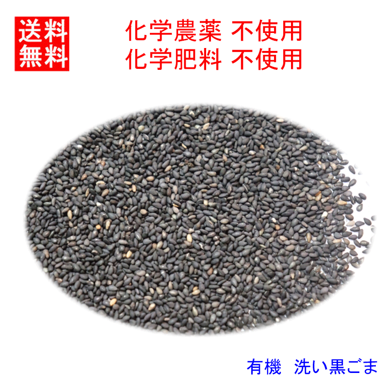 ★化学合成(農薬・肥料)不使用栽培　有機 洗い黒ごま(ゴマ・胡麻)1kg　賞味期限2025.1.31(メール便不可)取り寄せのため，商品発送まで4..