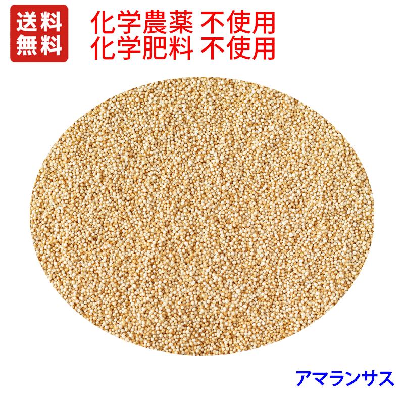 ̳ѡ2,5kgǧʡޥ󥵥֤ʤ!ͳ(ع)ԻѺݸ100ѥåޡԻ...