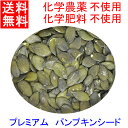 かぼちゃの種（ロースト・無塩） 500g