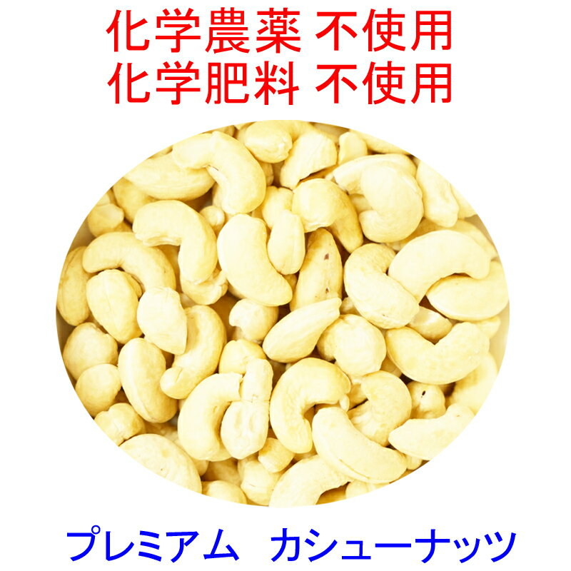 プレミアム　カシューナッツ　（生・無塩）IMO認定品　480g　チャック付　非燻蒸　(化学農薬・化学肥料）不使用栽培 ☆無添加無漂白固まりだけでなく小片や少量の粉が入っている場合がありますのでご了承の上、よろしくお願いします。