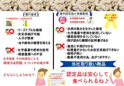 あす楽送料無料カシューナッツ(生・無塩)IMO認定品業務用1kgチャック付非燻蒸(化学農薬・化学肥料)不使用栽培☆無添加無漂白