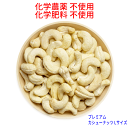 プレミアム Lサイズ 無塩 生 カシューナッツ 1KG 通常サイズに比べやや大粒 無農薬(化学農薬・化学肥料不使用)栽培 IMO認定品