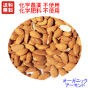 新商品:●送料無料 アメリカ産 オーガニックアーモンド ホール 11.3kg ノンパレル種 (水分無調整・無塩)業務用バルク 非燻蒸 (化学農薬・化学肥料)不使...