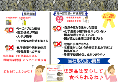 メール便送料無料(宅配便不可・代引き決済不可・日時指定不可)無添加・無塩オーストリア産かぼちゃの種(ペポカボチャ、パンプキンシード、南瓜の種)380g無農薬(化学農薬不使用)栽培