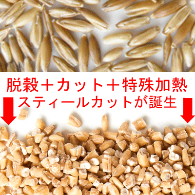 メール便送料無料(宅配便不可・代引き決済不可・日時指定不可)プレミアムスティールカットオーツ麦(オート麦)600gチャック袋入OTCO認証品原料