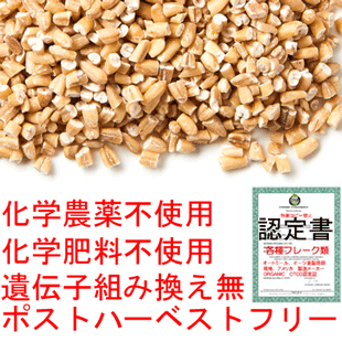 メール便送料無料(宅配便不可・代引き決済不可・日時指定不可)プレミアムスティールカットオーツ麦(オート麦)600gチャック袋入OTCO認証品原料