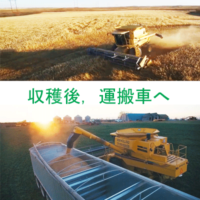 ●輸入元直売オートミール業務用バルク22.6kg無添加(化学添加物不使用)/有機オーガニック認定品送料無料(北海道、東北、九州、沖縄、離島を除く)