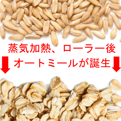 ●輸入元直売オートミール業務用バルク22.6kg無添加(化学添加物不使用)/有機オーガニック認定品送料無料(北海道、東北、九州、沖縄、離島を除く)
