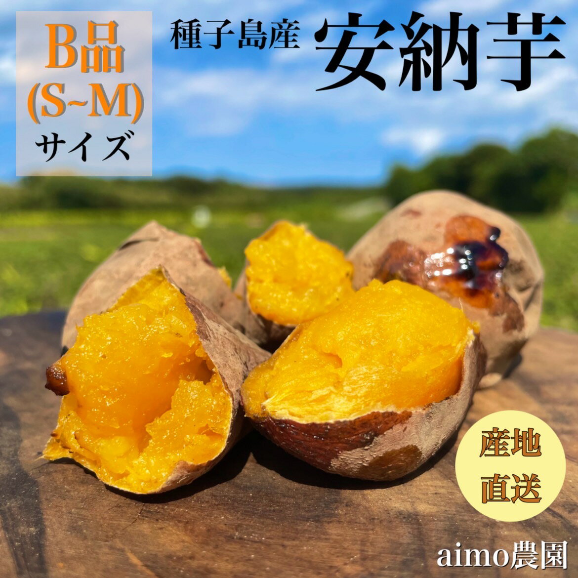 【絶品】種子島産安納芋 B品(S~Mサイズ)|aimo農園
