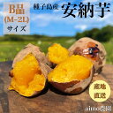 【絶品】種子島産安納芋 B品(M~2Lサイズ)|aimo農園