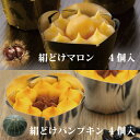 リニューアルにてラッピング対応♪【送料込/送料無料】絹どけマロン(4個入)&絹どけパンプキン(4個入)のWセット 「北海道・沖縄のみ送料+760円」 TVで紹介...