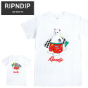 yN[|zzz RIPNDIP bvfBbv TVc SURF BREAK TEE  Jbg\[ gbvX S-XL zCg RND4977 yPiw̏ꍇ̓lR|X֔z