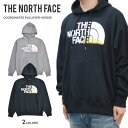 yN[|zzz THE NORTH FACE m[XtFCX XEFbg COORDINATES PULLOVER HOODIE vI[o[ p[J[ t[X Y S-XL USAf NF0A5GEO