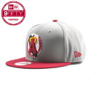 NEW ERA【希少★旧ロゴ★スナップバック★フリーサイズ】...