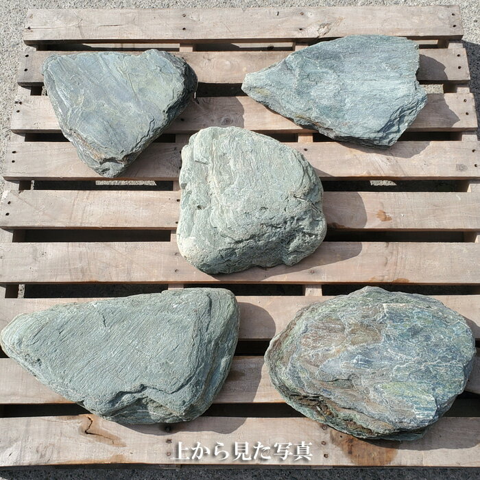 ������̵���ۡ�����Բġۡ������С����Фμ�������5�祻�åȡ�������Ф�Ȥä��������ФǤ����������ФΤ褵�򤪳ڤ��߲��������ڥ����ǥ˥󥰻��ۡ����Сۡ����С�