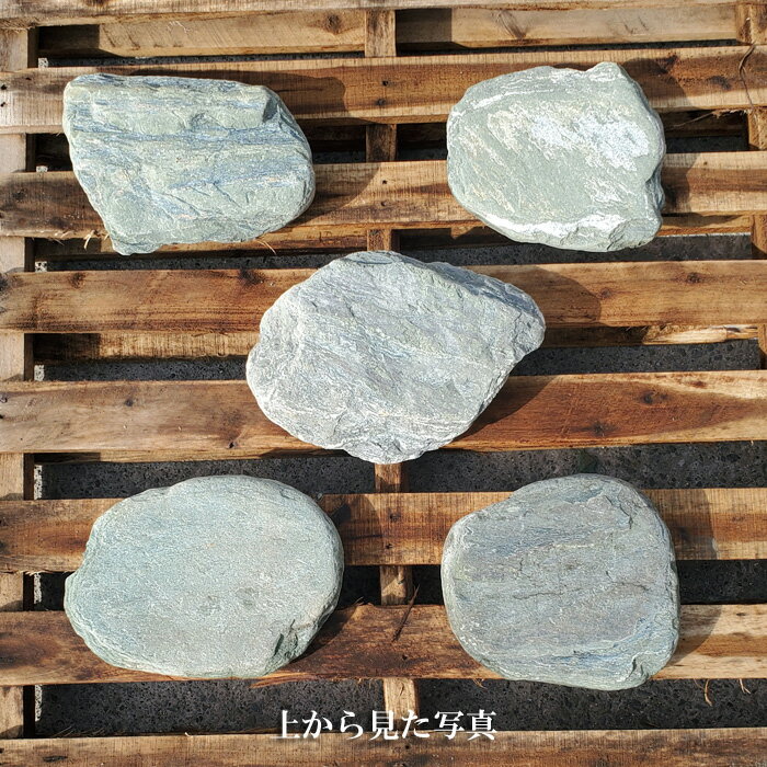 ������̵���ۡ������С����Фμ�������5�祻�åȡھ������Ф�Ȥä��������ФǤ����������ФΤ褵�򤪳ڤ��߲��������ڥ����ǥ˥󥰻��ۡ����Сۡ����С�